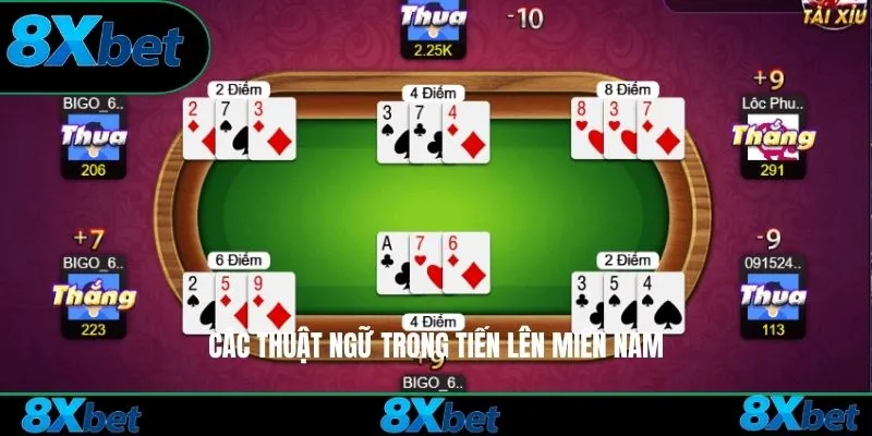 Các thuật ngữ trong Tiến Lên Miền Nam