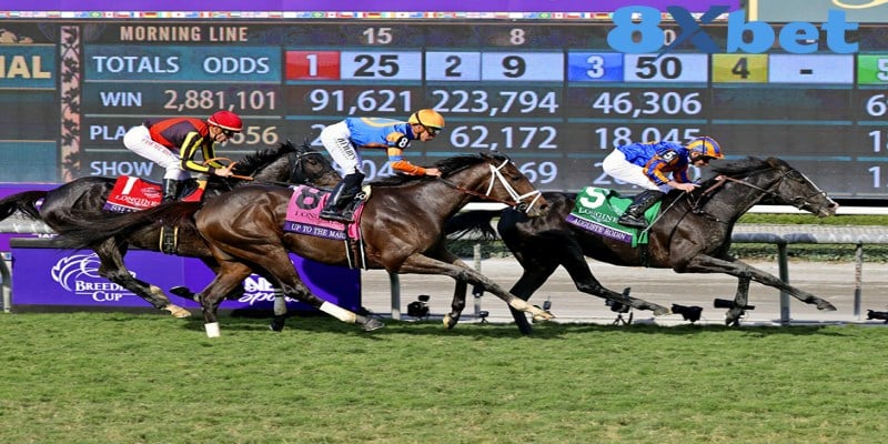 Kiến thức cơ bản về cá cược đua ngựa