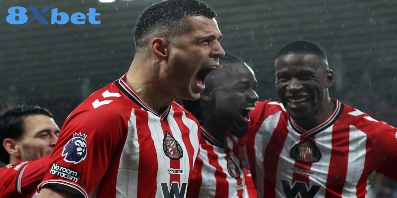 Sức bật mới của Mèo đen Đông Bắc